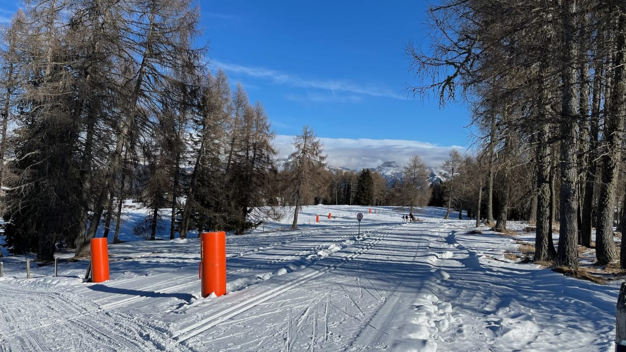 Eine Ski-Loipe und ein Wanderweg im Schnee in den Bergen. Rechts und links stehen Bäume.
